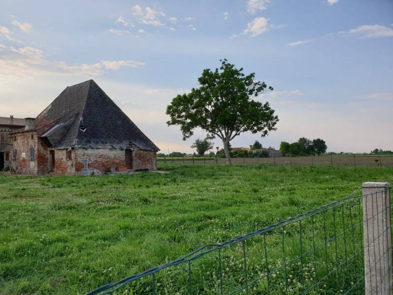 Rustico Beolo, Conselve
