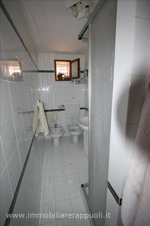  - foto 7
