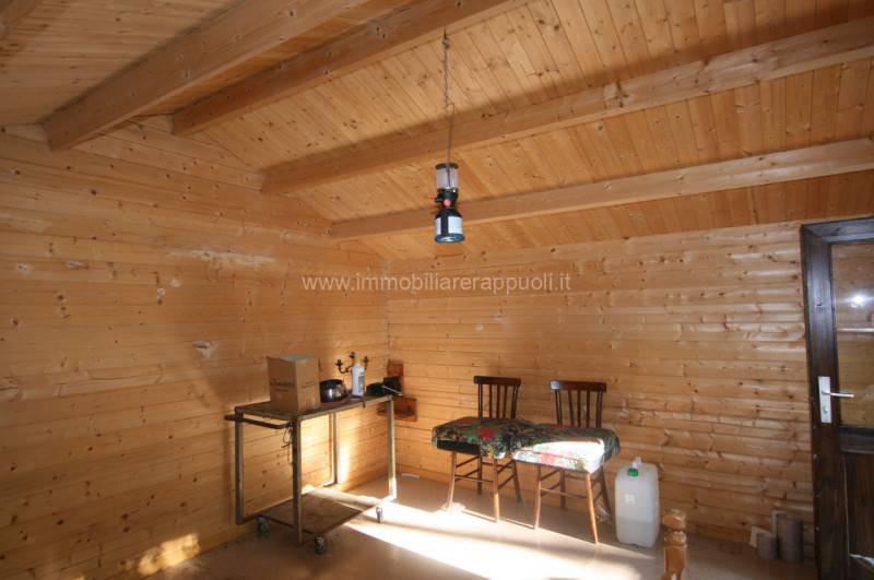  - foto 2