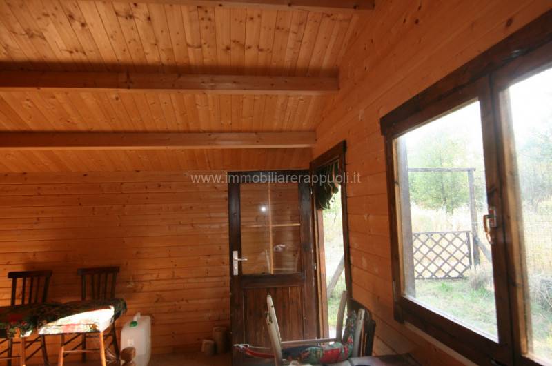  - foto 3