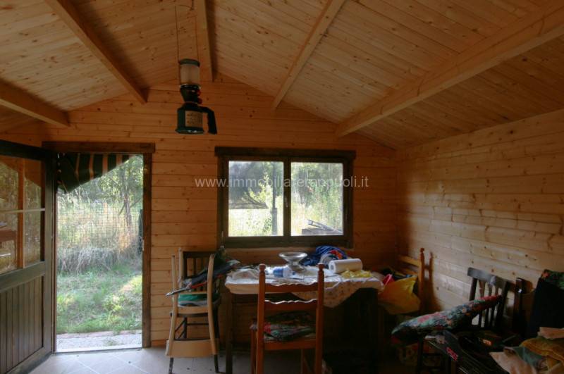  - foto 6