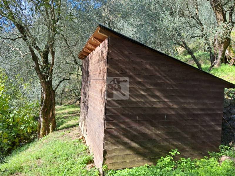 Altro Vigne, Arco
