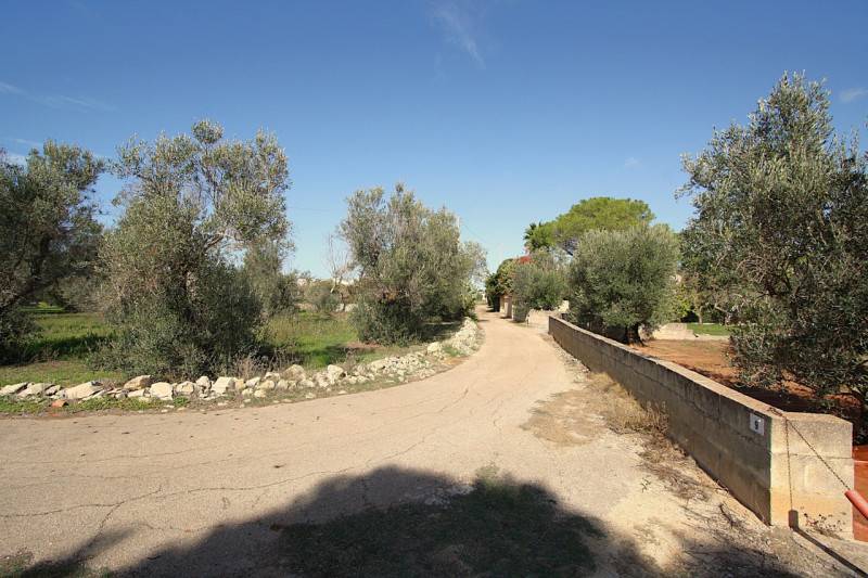  - foto 10