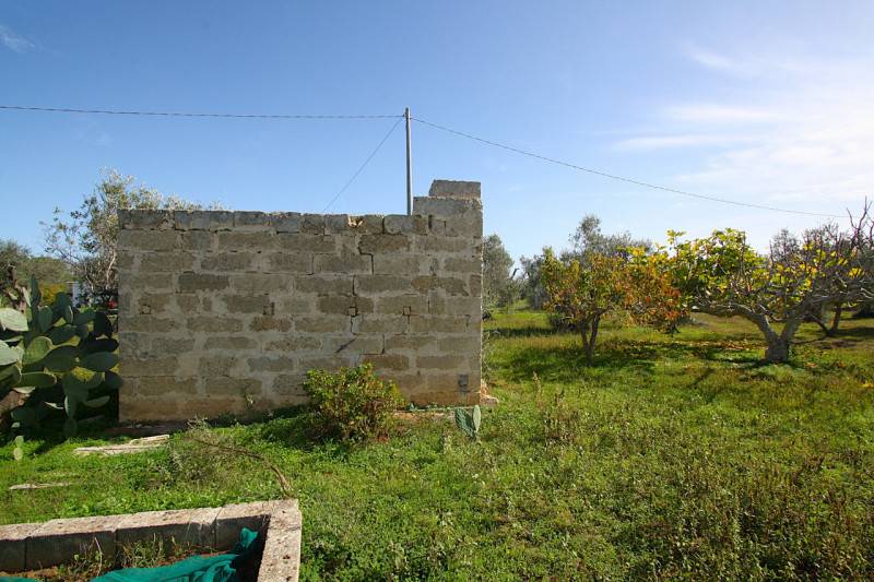  - foto 4