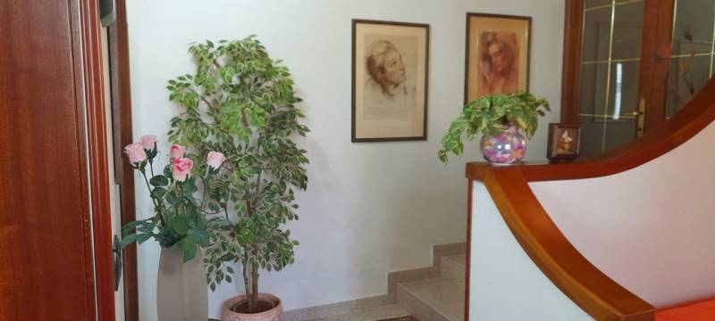  - foto 8