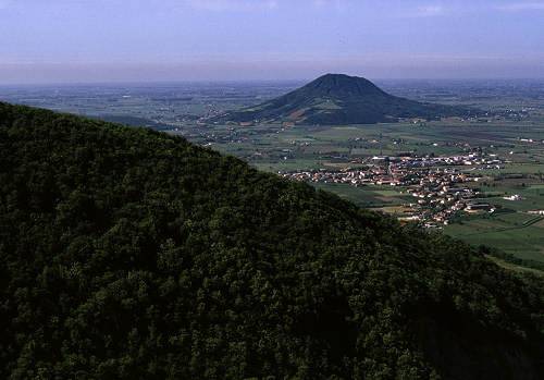 Attività  commerciale, Monselice