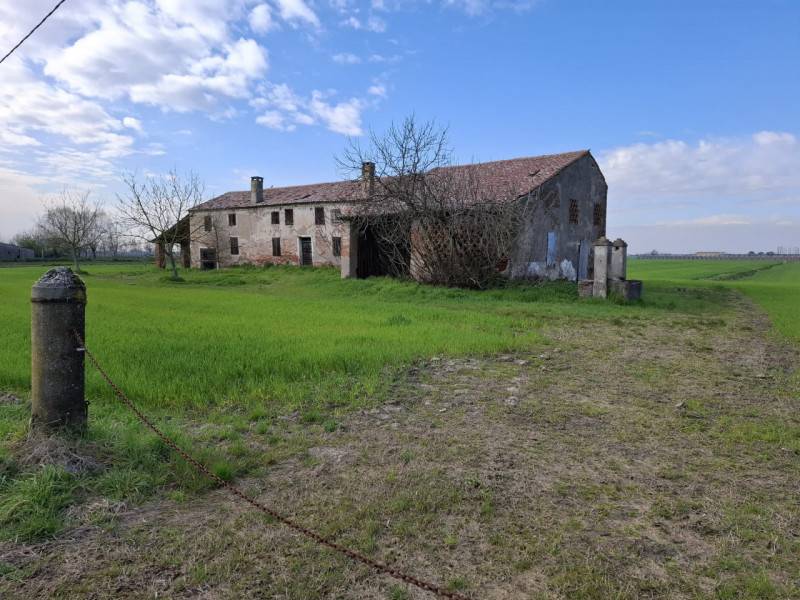 Terreno agricolo, Villamarzana