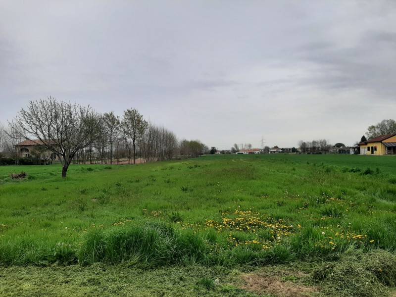 Terreno agricolo Mira, Mira
