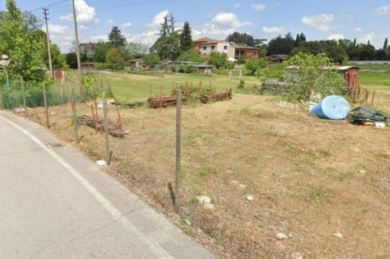 Altro, Torgiano