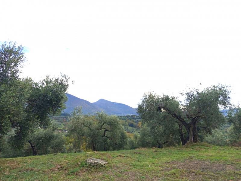 Altro, Palombara Sabina