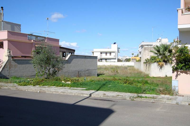  - foto 5