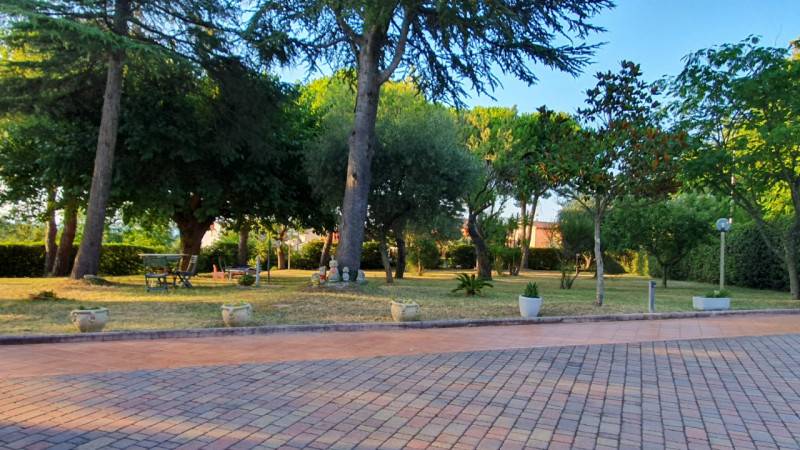 - foto 5