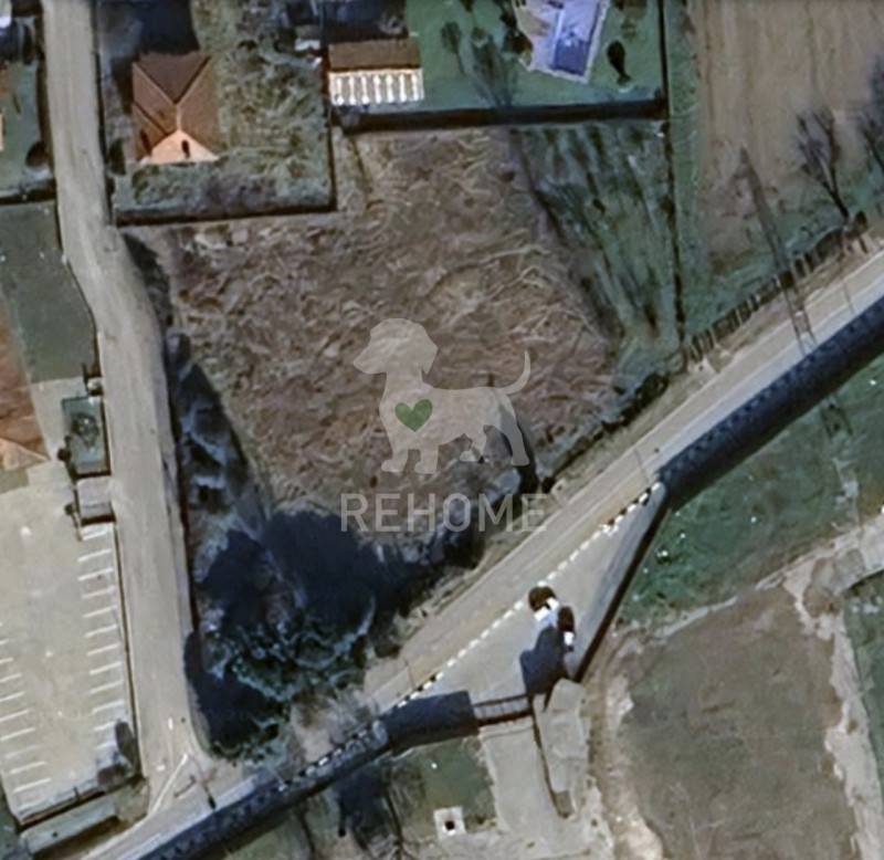 Altro Gemona del Friuli, Gemona del Friuli