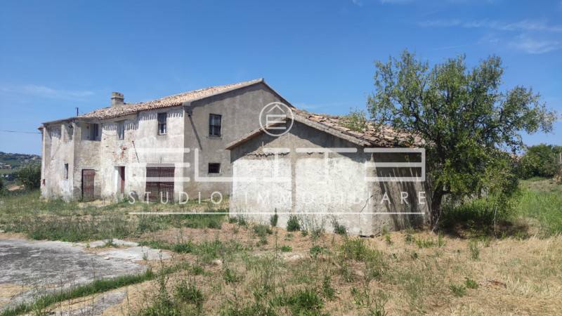 Rustico Osimo, Osimo