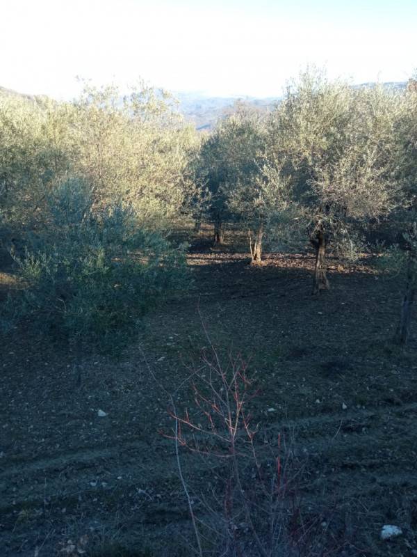  - foto 4