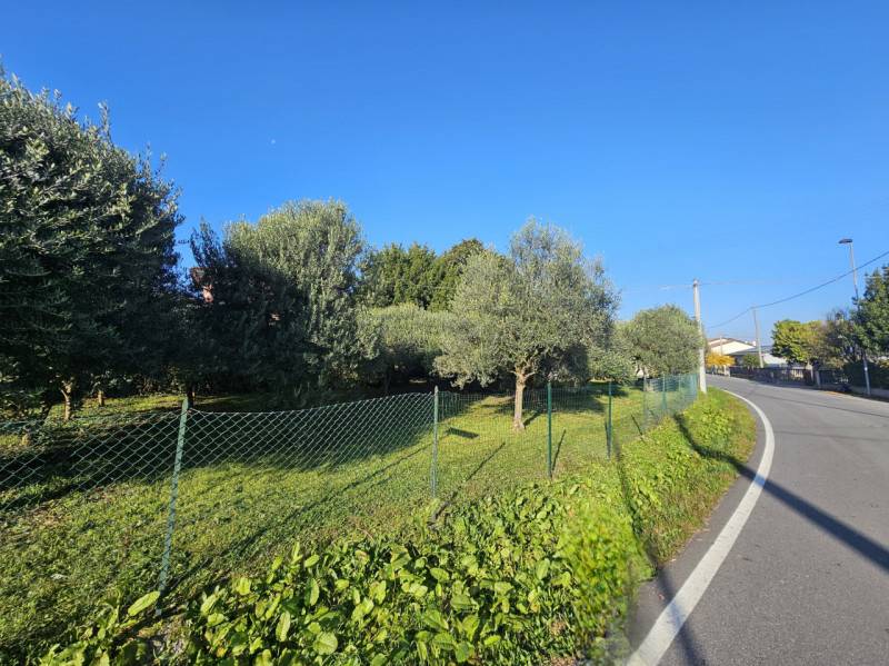  - foto 3