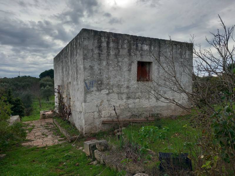  - foto 4