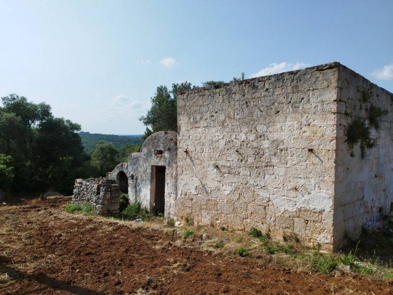  - foto 5