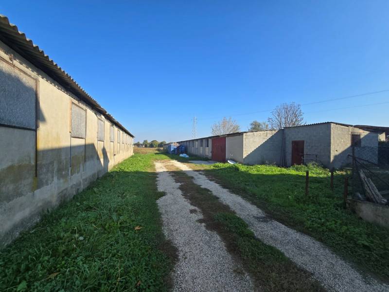  - foto 2
