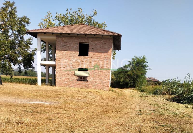  - foto 6