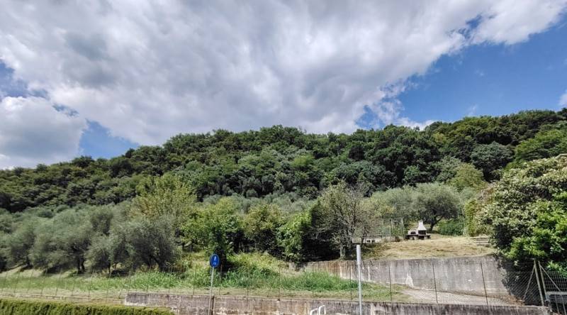  - foto 4
