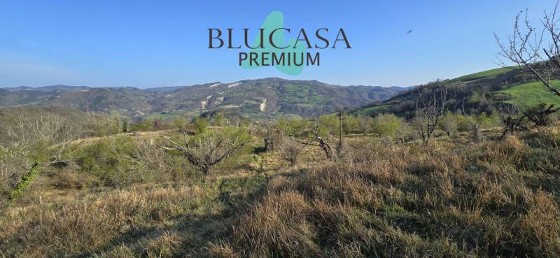 Altro Civitella di Romagna, Civitella di Romagna