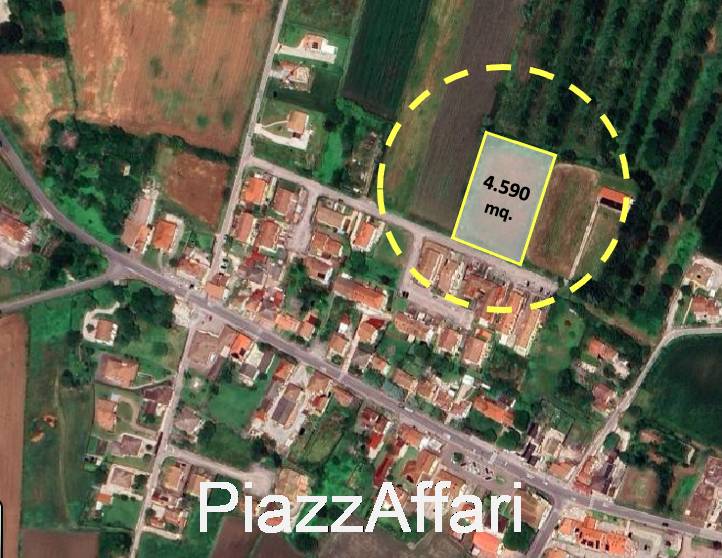  - foto 2