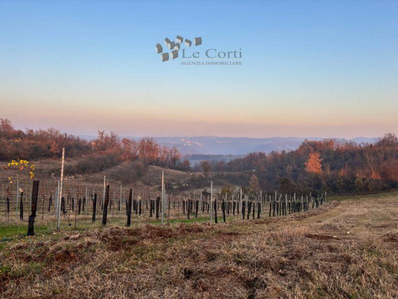 Terreno agricolo San Germano dei Berici, Val Liona