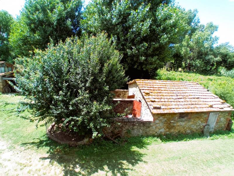 Rustico, Tuoro sul Trasimeno