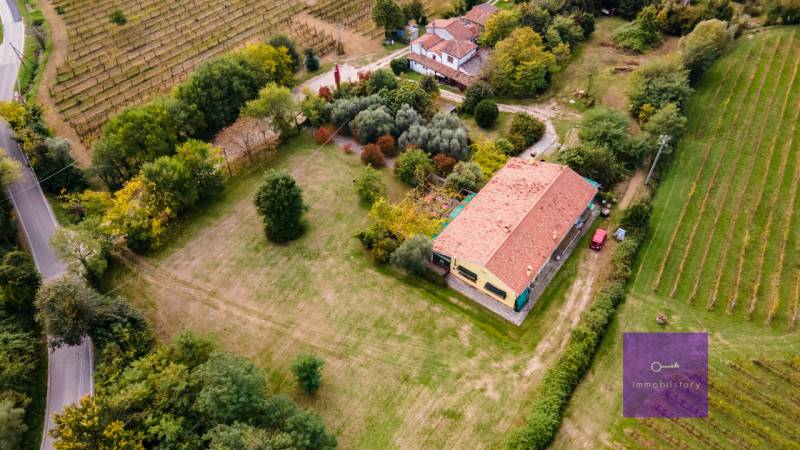 Villa Turri, Montegrotto Terme