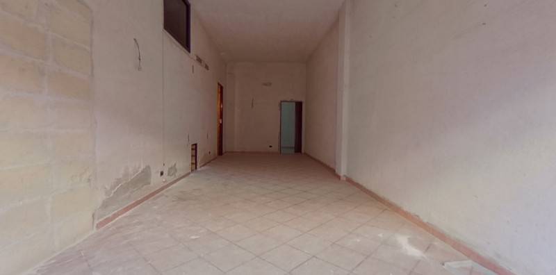 Laboratorio Fasano, Fasano