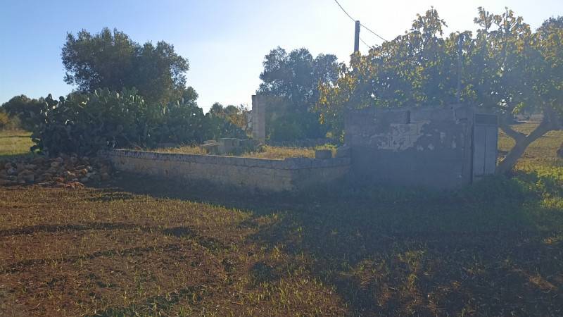  - foto 6
