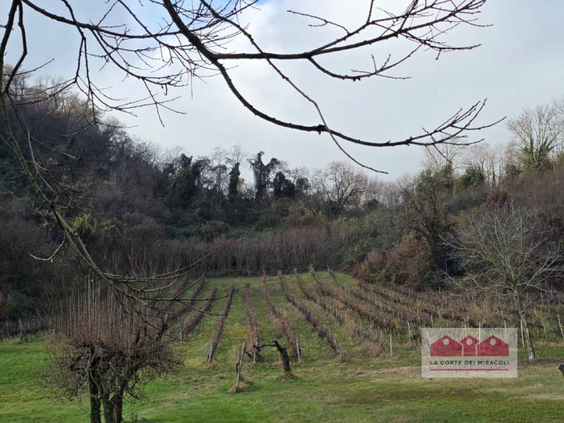 Altro Campedello, Vicenza