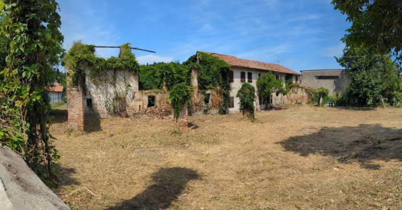 Rustico, Torreglia