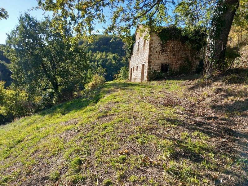 Rustico, Arcevia