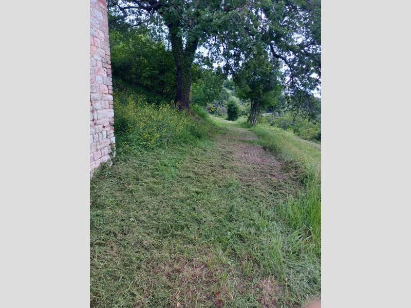  - foto 10