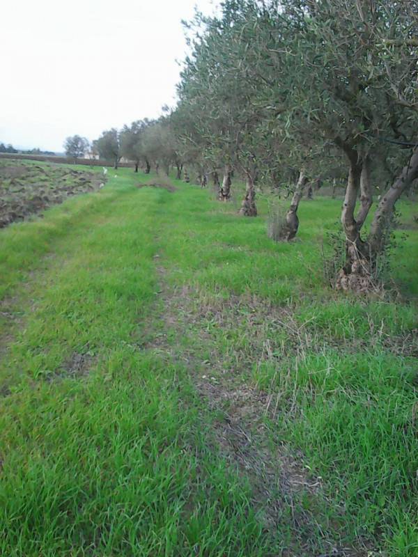  - foto 2