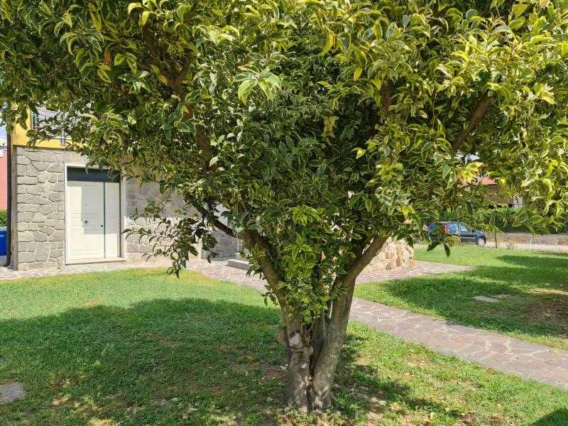  - foto 7