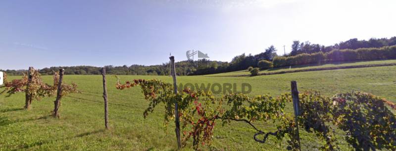 Terreno agricolo San Vito di Leguzzano, San Vito di Leguzzano