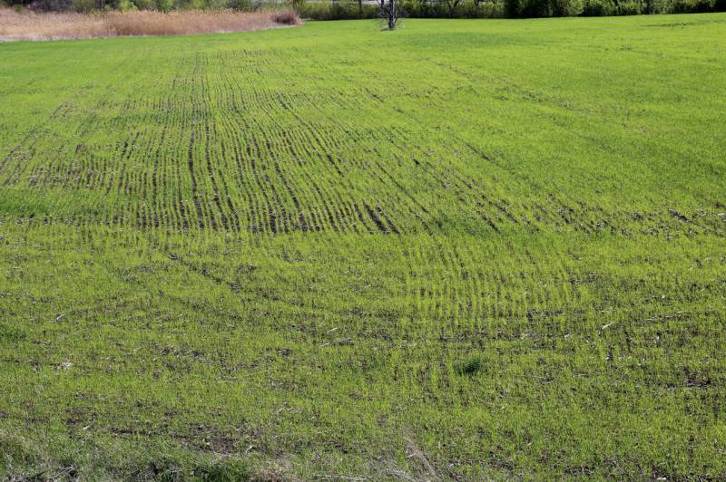 Terreno agricolo Pralboino, Pralboino