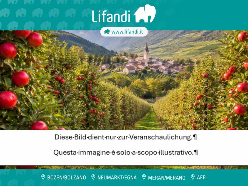 Altro, Cortaccia sulla strada del vino