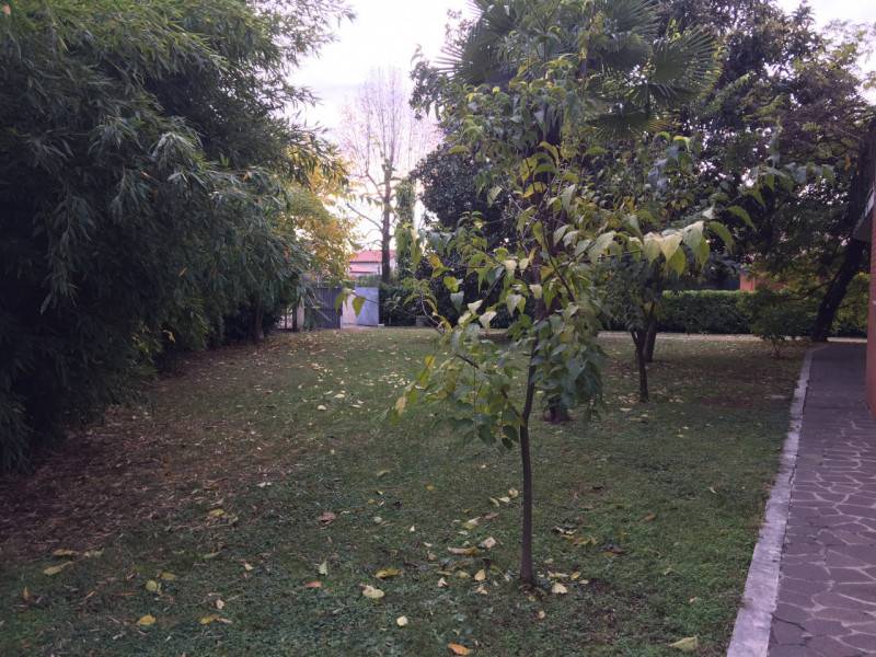  - foto 8