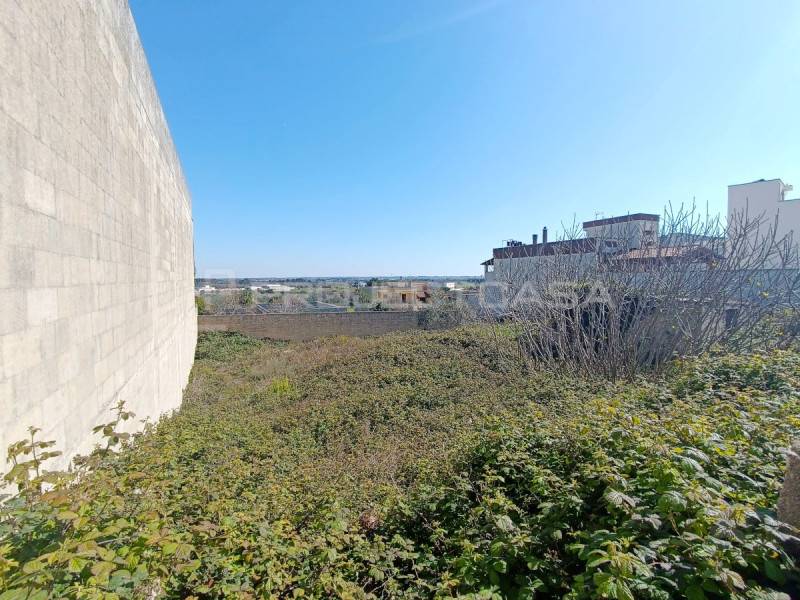  - foto 2