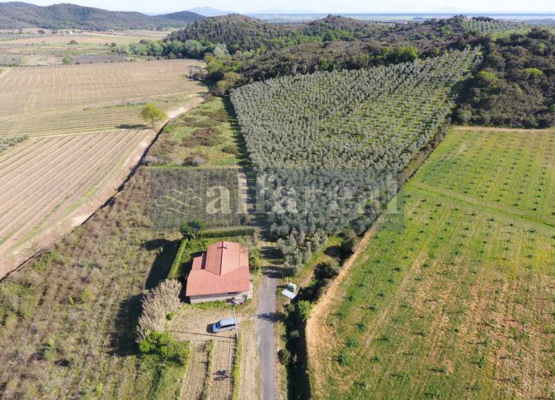Altro Castiglione della Pescaia, Castiglione della Pescaia