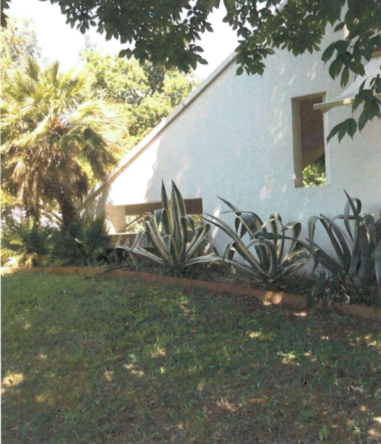  - foto 30