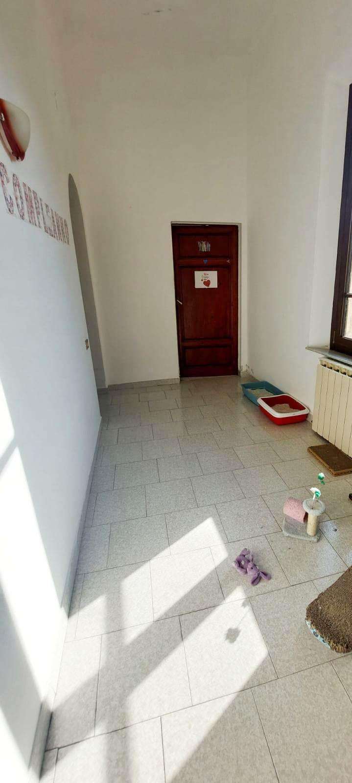  - foto 20