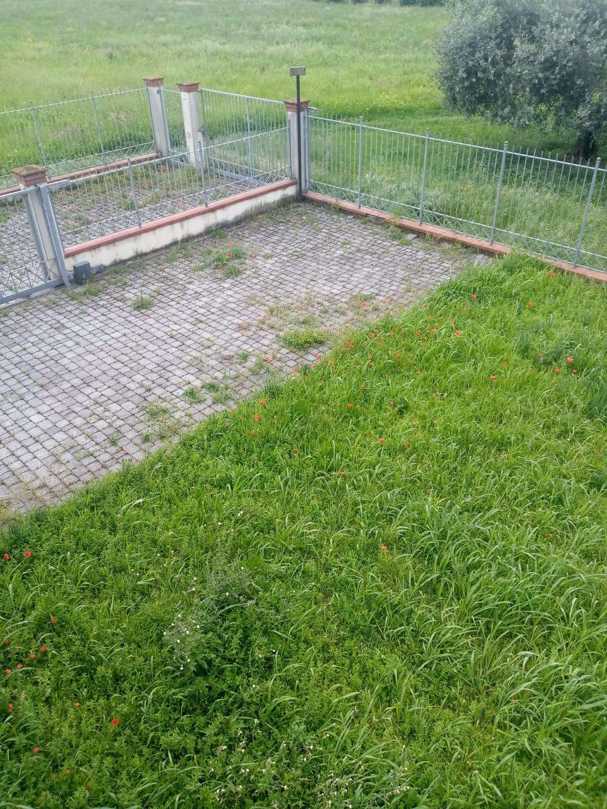  - foto 20