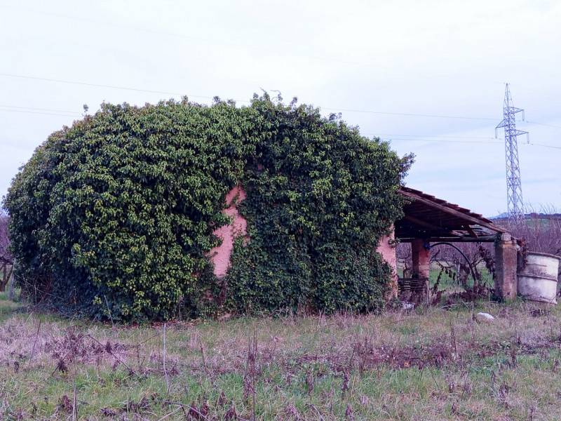  - foto 9