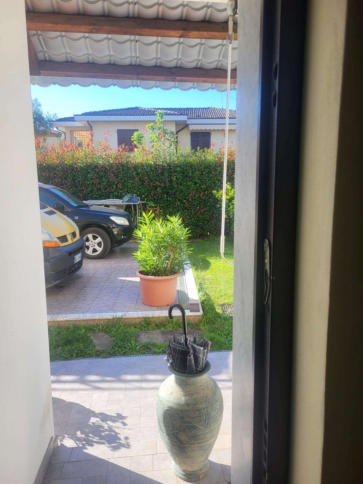  - foto 43