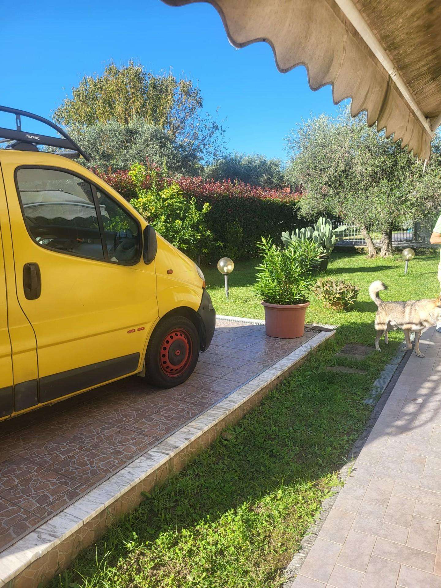  - foto 66